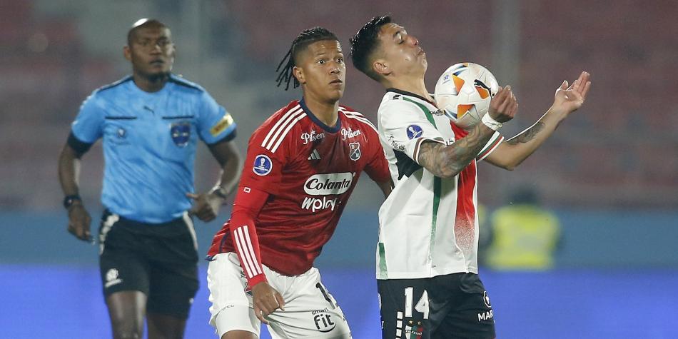 Palestino