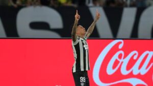 Botafogo vs Palmeiras